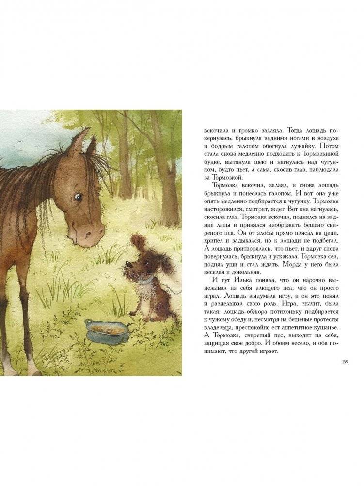 О зверях и людях фото книги 6