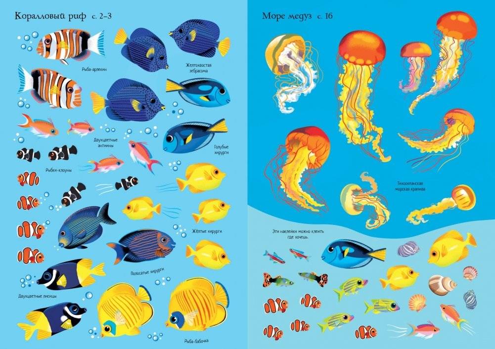 Океанариум фото книги 3
