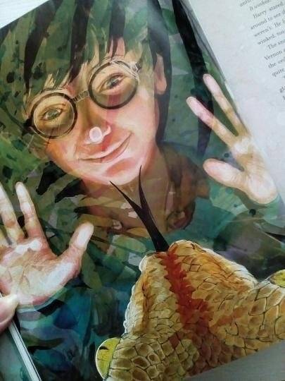 Harry Potter and the Philosopher's Stone: Illustrated Edition фото книги 4