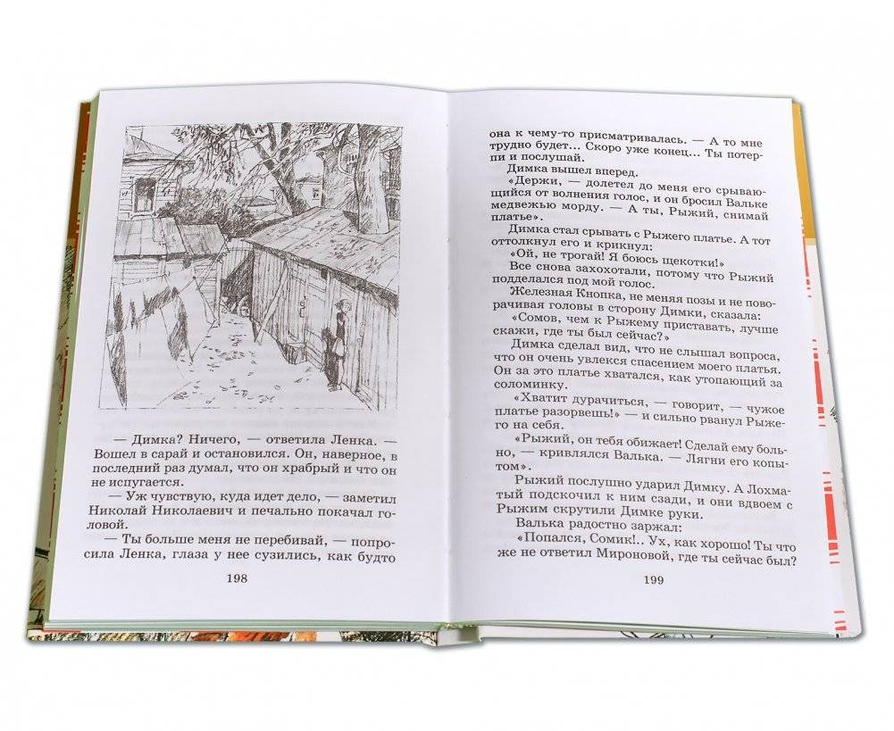 Чучело фото книги 5