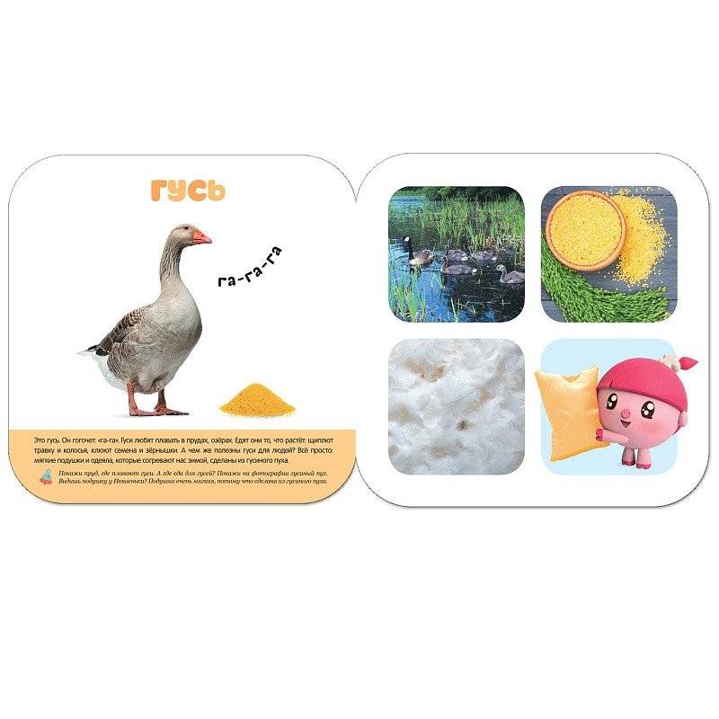 Малышарики. В деревне. 2+ фото книги 3