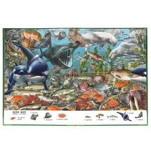 Большая книга о животных. Виммельбух фото книги 2