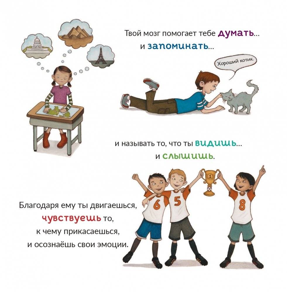 Твой необычный эластичный мозг фото книги 4