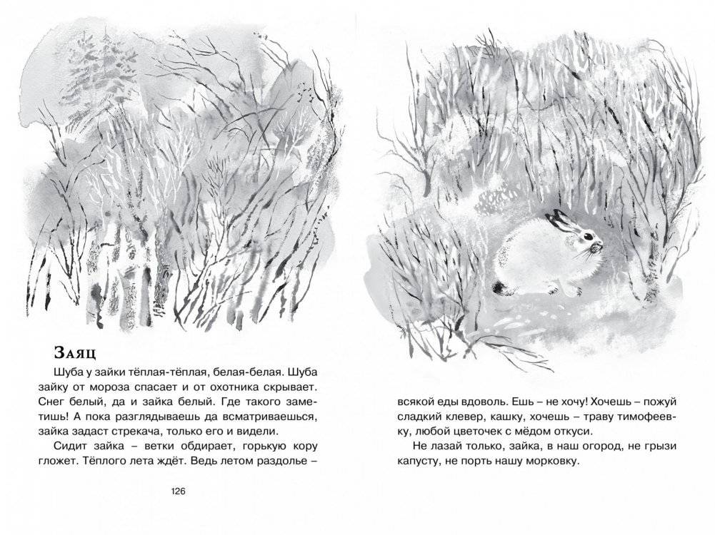 Друзья фото книги 3