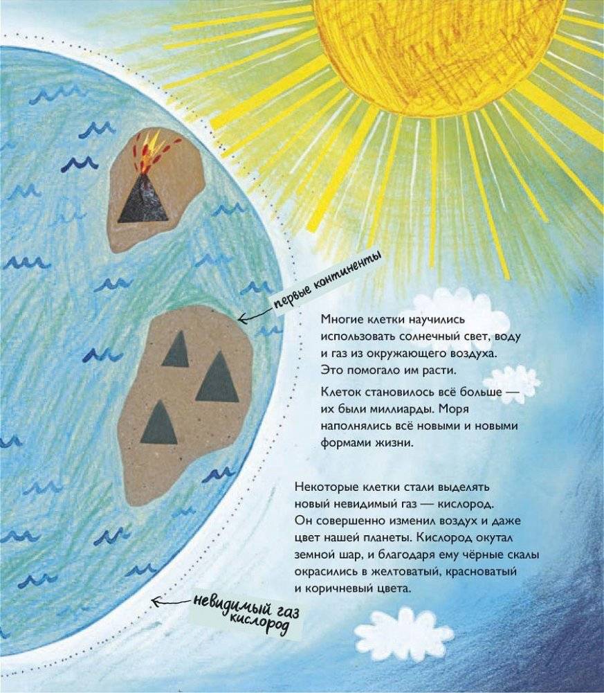 История жизни. Моя первая книга об эволюции фото книги 6