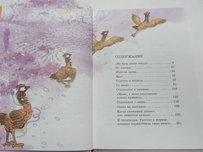 Курочка, которая мечтала летать фото книги 2