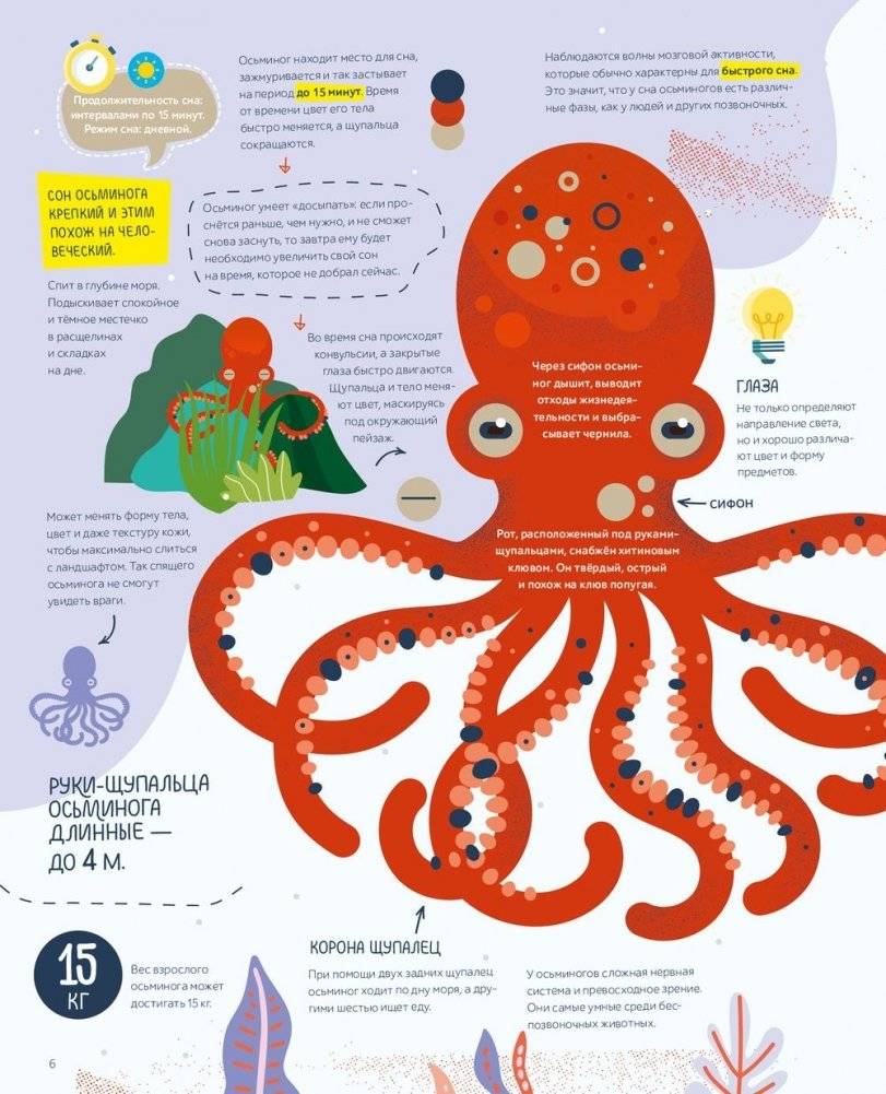 Как спит пчела? Удивительные факты о животных и их суперспособностях фото книги 4