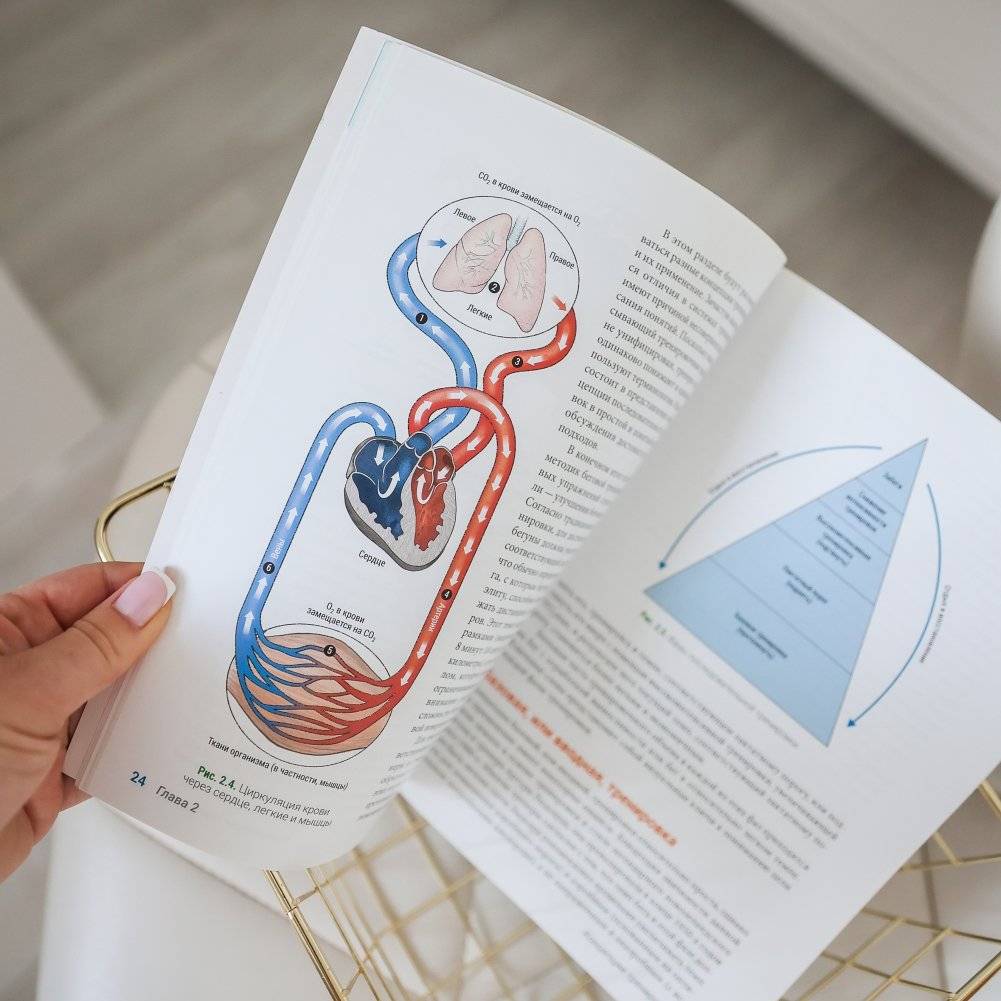 Анатомия бега фото книги 4