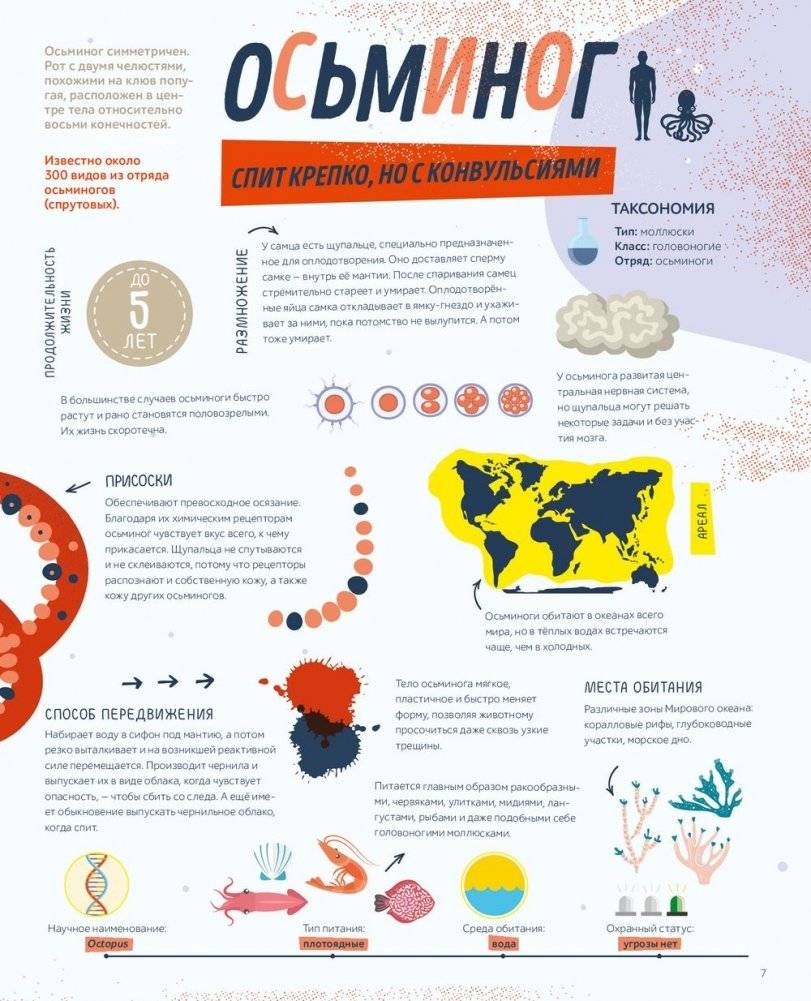 Как спит пчела? Удивительные факты о животных и их суперспособностях фото книги 5