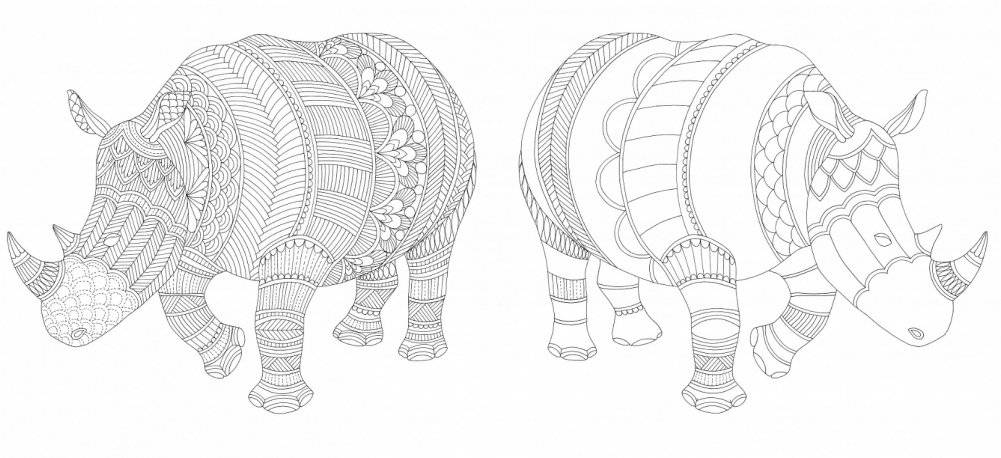 Первозданная красота. Книга для творчества и вдохновения фото книги 5