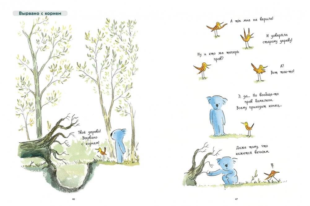 Философия Коалы фото книги 3