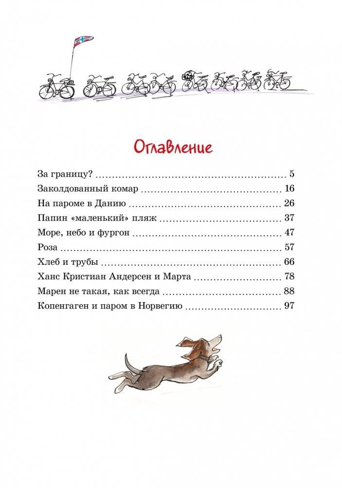 Папа, мама, бабушка и восемь детей в Дании фото книги 8