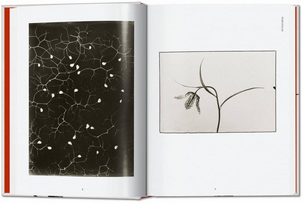Karl Blossfeldt. The Complete Published Work. 40th Ed. фото книги 3