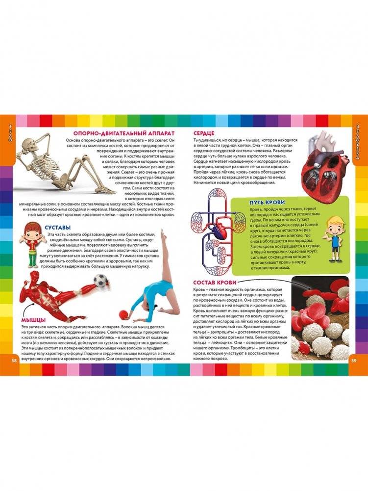 Детская энциклопедия для маленьких почемучек фото книги 8