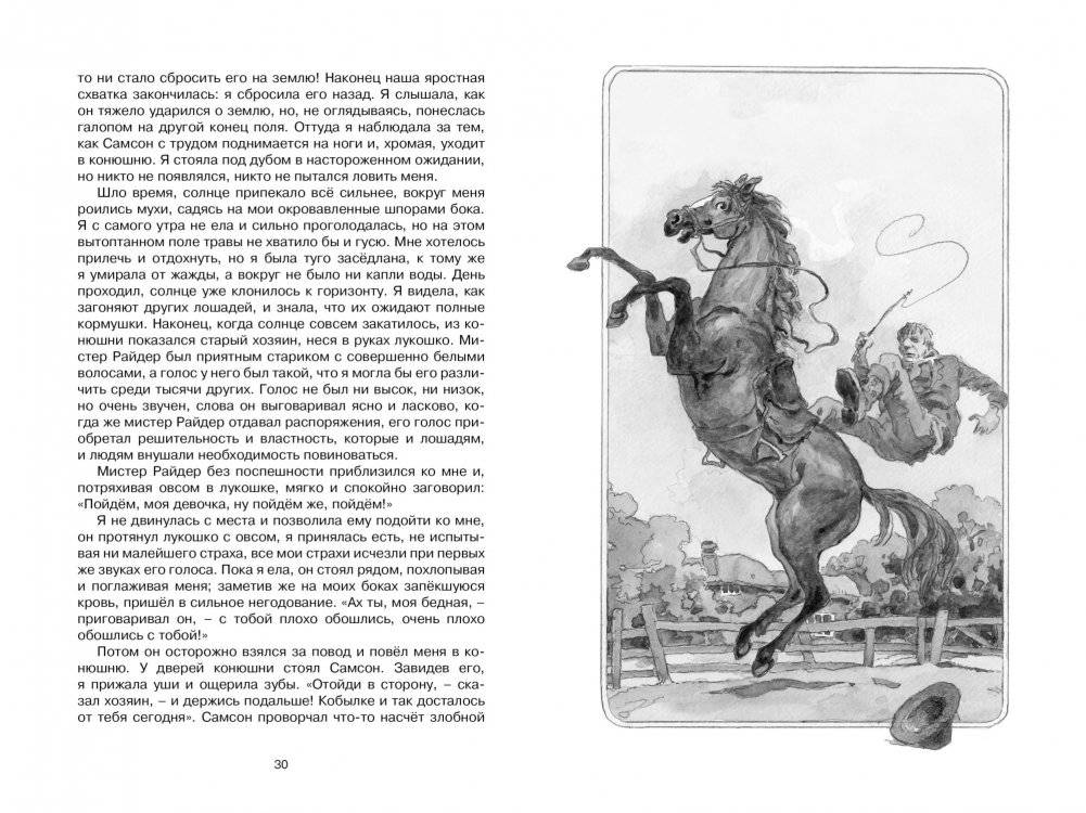 Чёрный красавчик фото книги 4