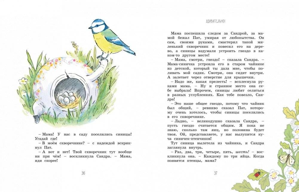 Волшебные сказки круглый год фото книги 4