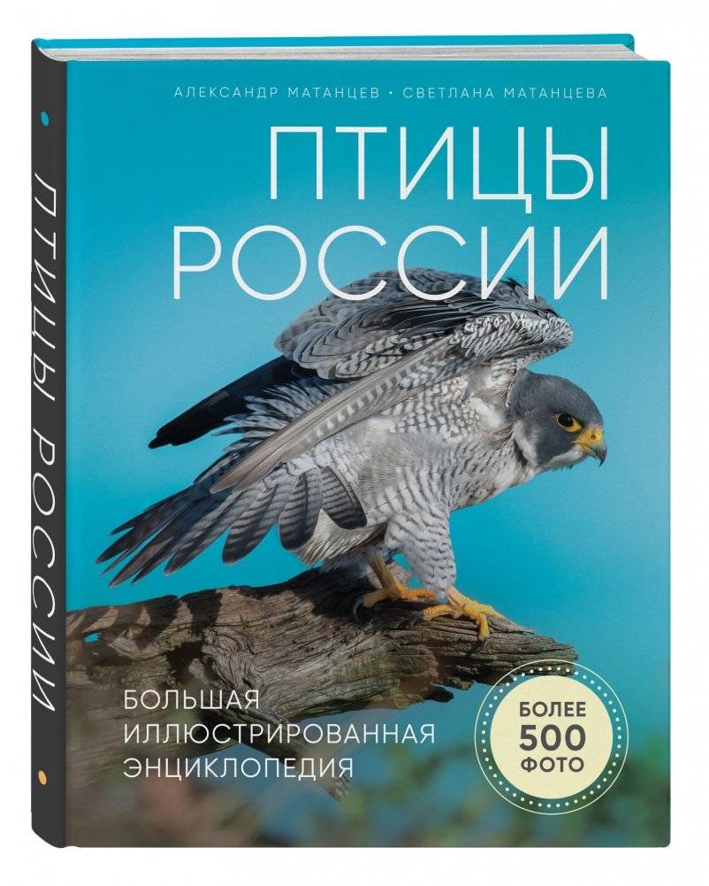 Птицы России. Большая иллюстрированная энциклопедия фото книги 2