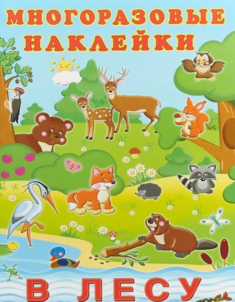 В лесу фото книги