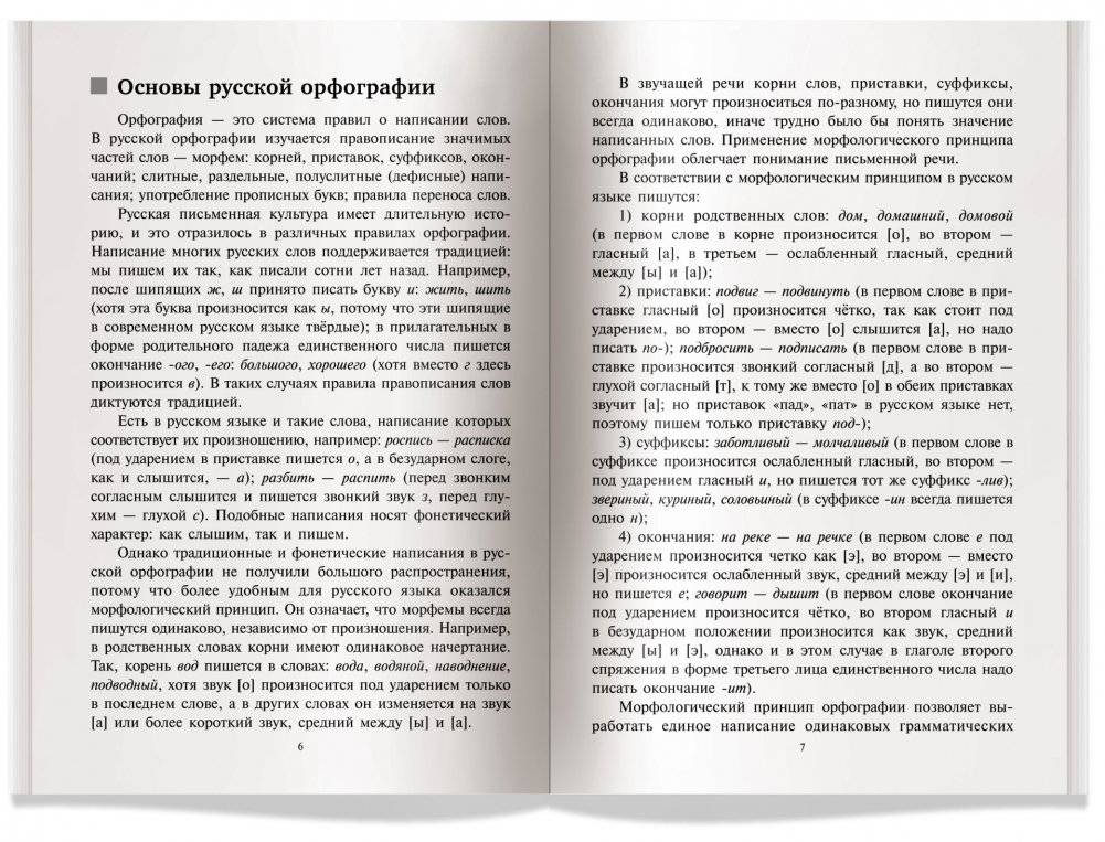 Русский язык. Орфография. Пунктуация фото книги 3
