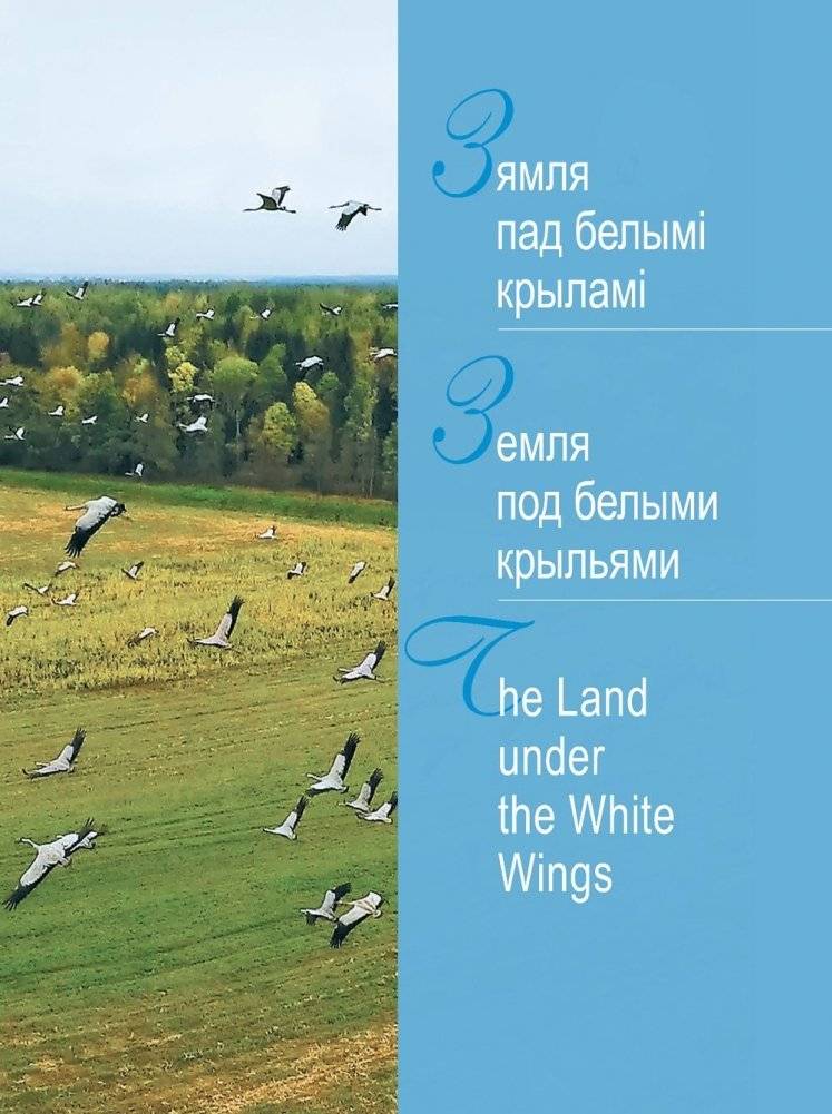 Беларусь. Праз стагоддзі ў будучыню фото книги 7