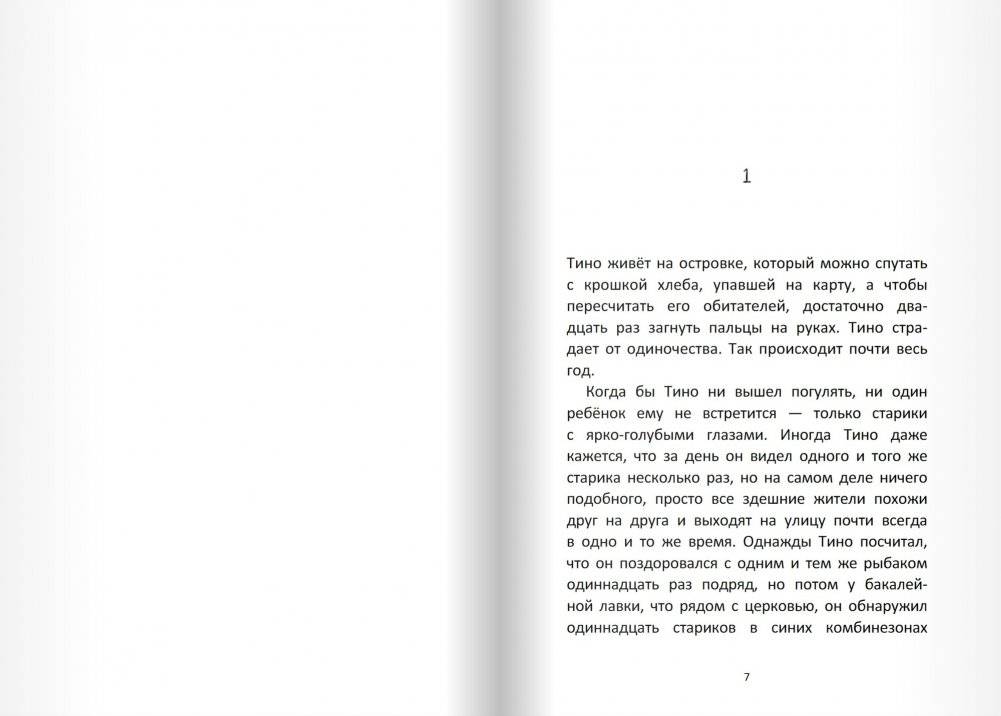 Камушек в кармане фото книги 5