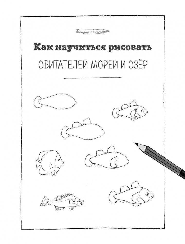 Рисование. Первые шаги фото книги 4