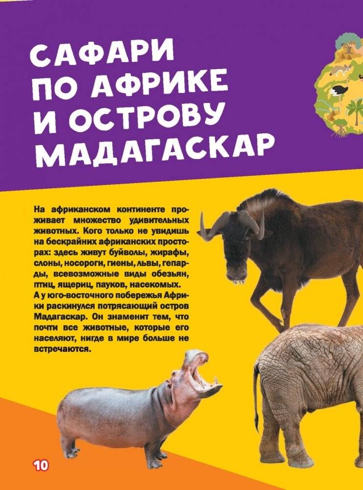 Моя первая большая книга о животных фото книги 8