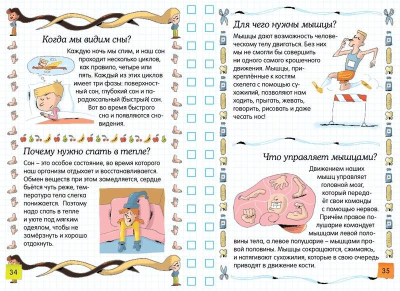 Тело человека фото книги 2