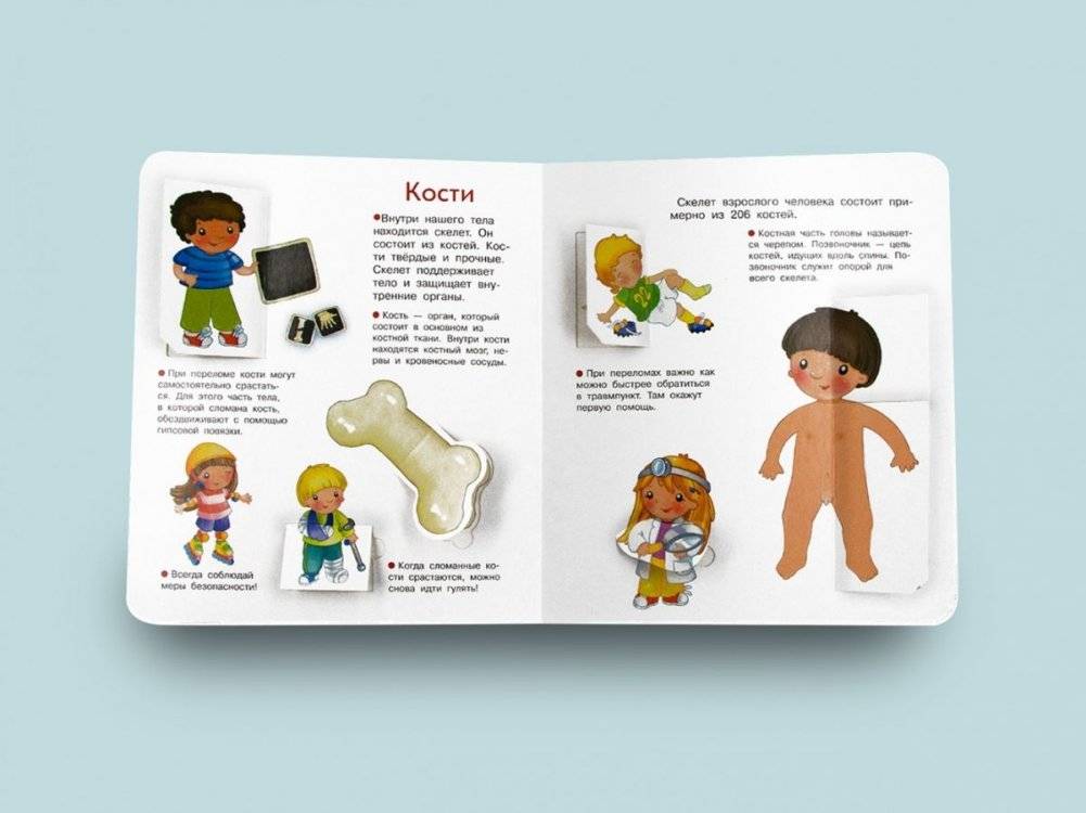 Что? Почему? Зачем? Наше тело фото книги 6