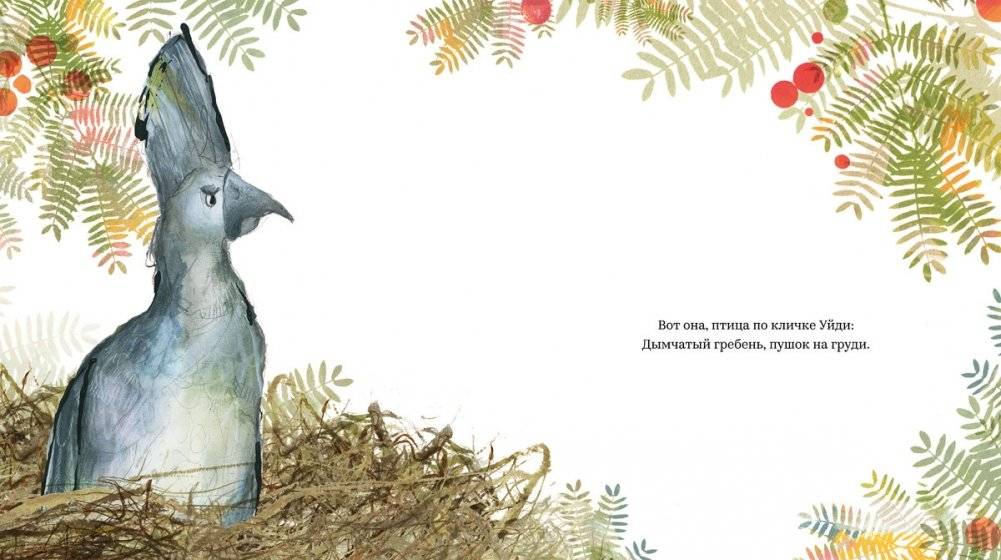 Птица по кличке Уйди фото книги 4