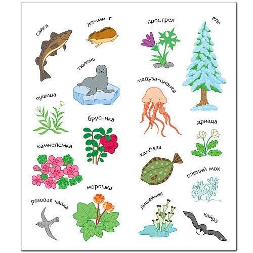 Комплект книг. Раскрась Россию (количество томов: 2) фото книги 3