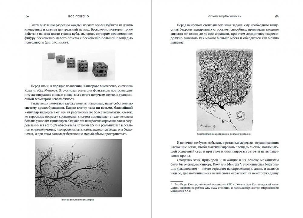 Всё решено: Жизнь без свободы воли фото книги 3