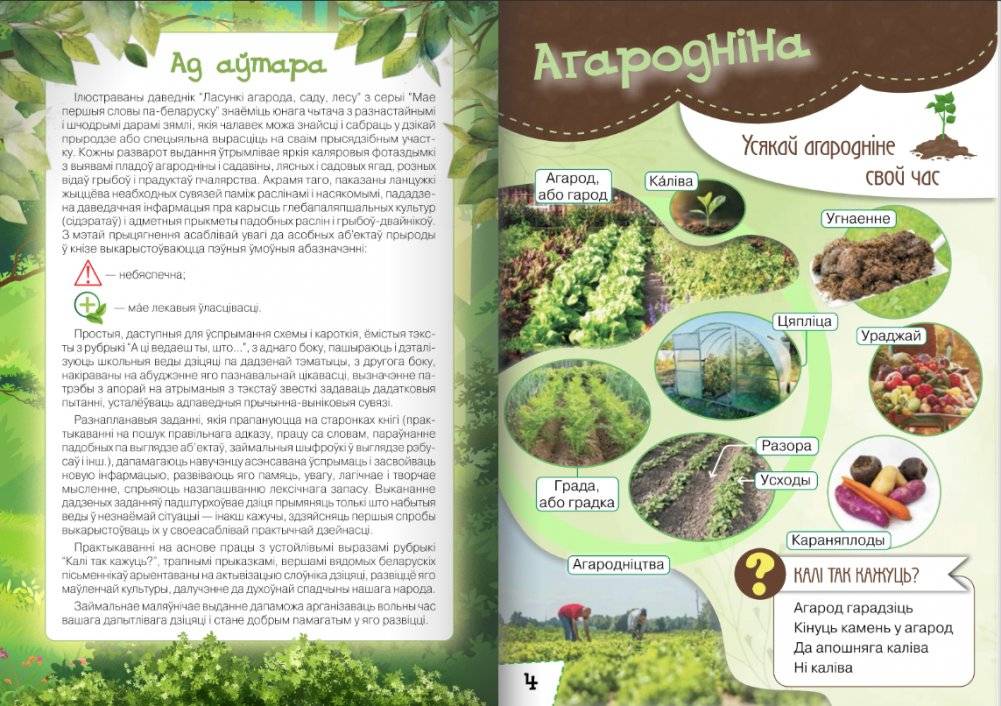 Ласункі агарода, саду, лесу. Узбагачаем слоўнікавы запас, выконваем заданні, пашыраем кругагляд (6-10 гадоў) фото книги 3