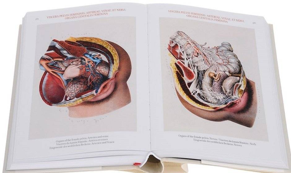 Bourgery. Atlas of Human Anatomy and Surgery фото книги 3