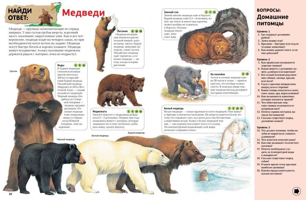 Интерактивная энциклопедия для школьников фото книги 3