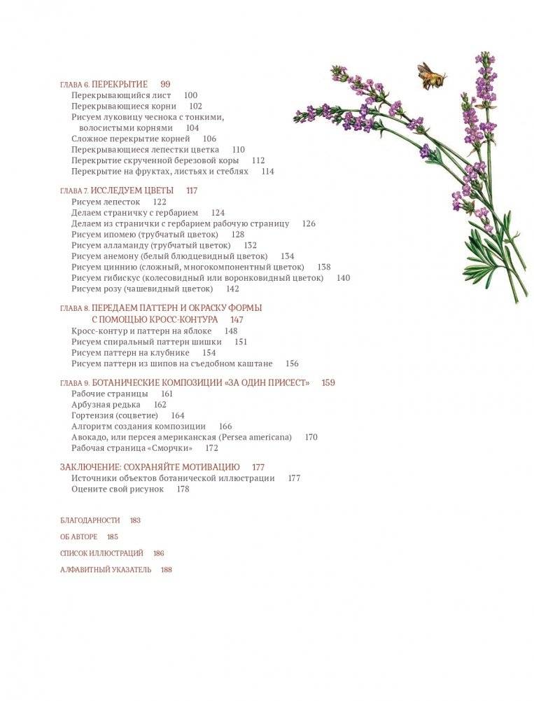 Ботаническая иллюстрация с удовольствием. Пошаговое руководство по изображению цветов, листьев, плодов и других элементов растений фото книги 3
