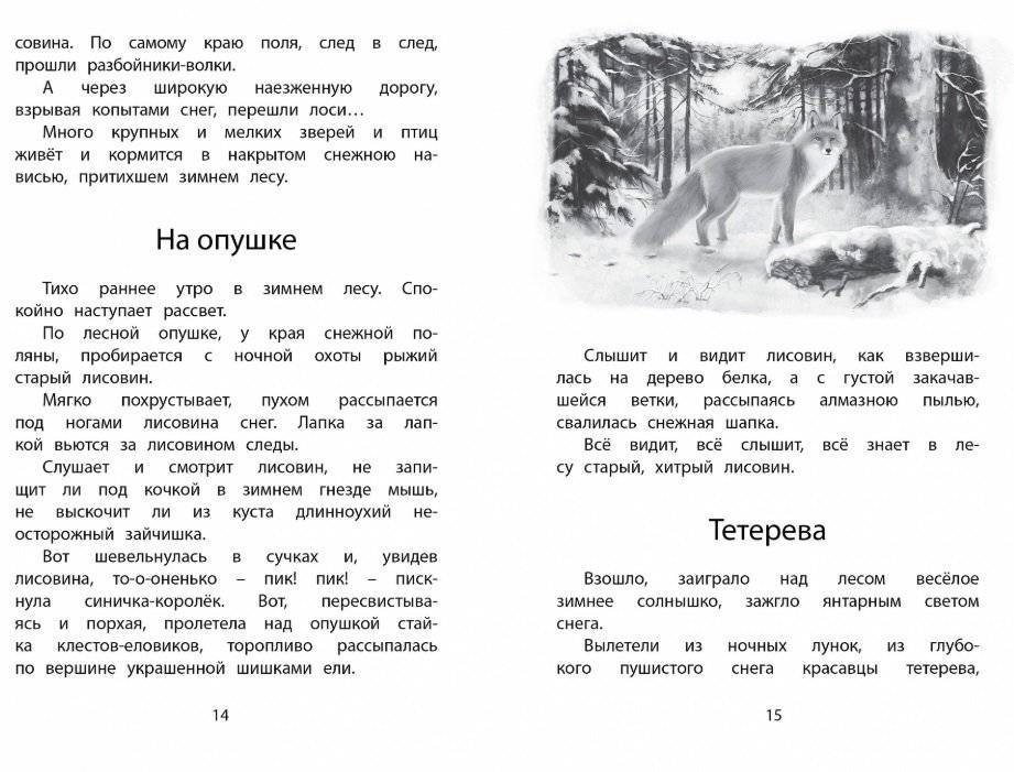 Год в лесу фото книги 2