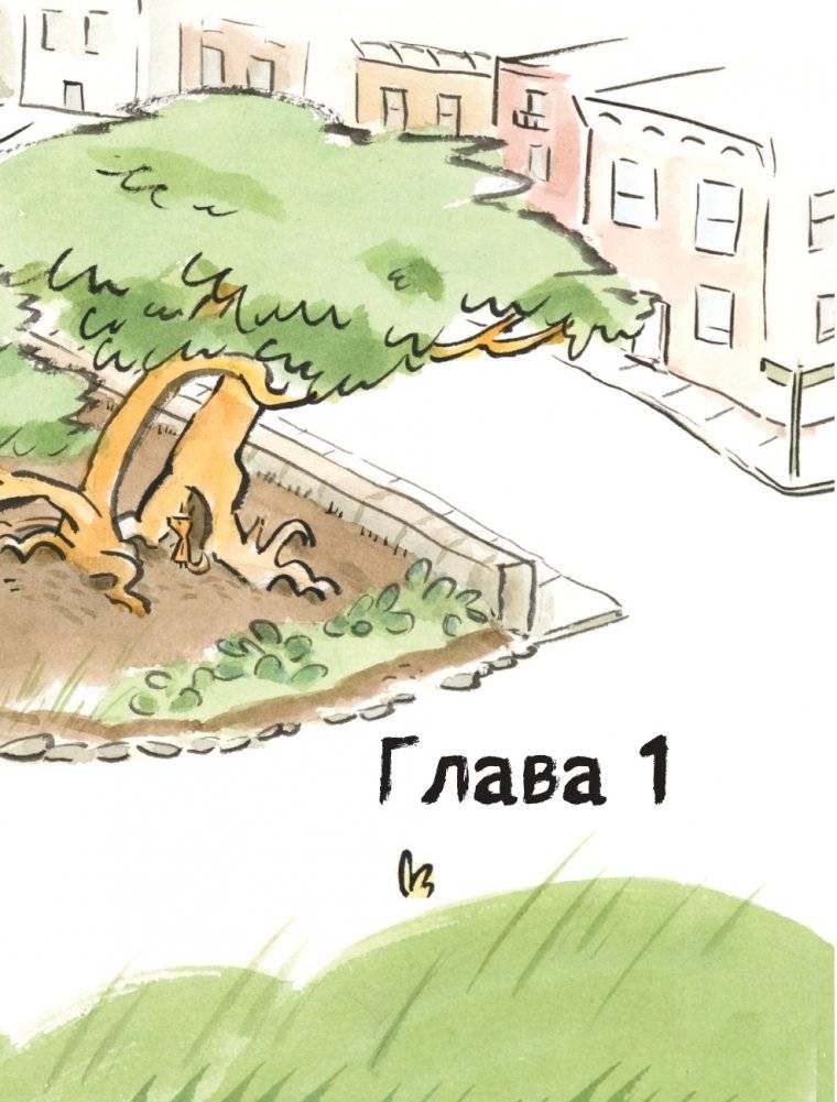 Белок пончиками не кормить! фото книги 5