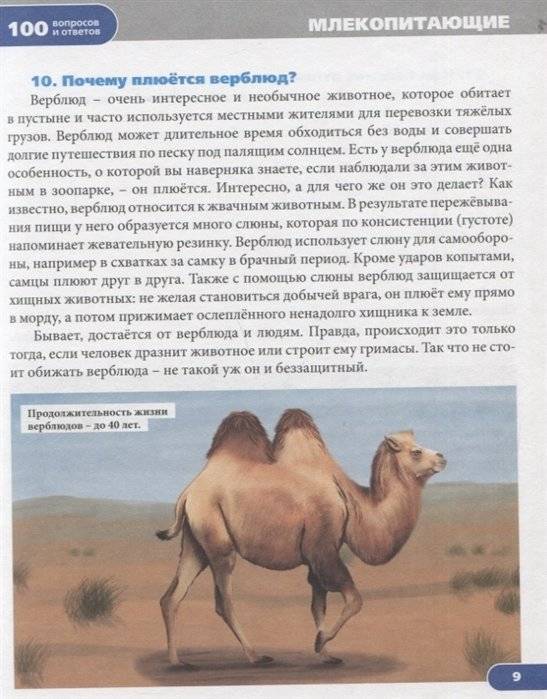 Животный мир фото книги 2