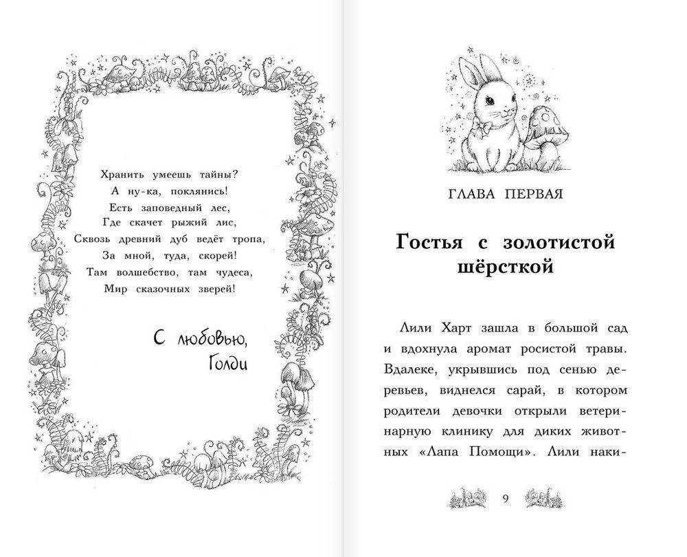 Крольчонок Люси, или Волшебная встреча фото книги 5