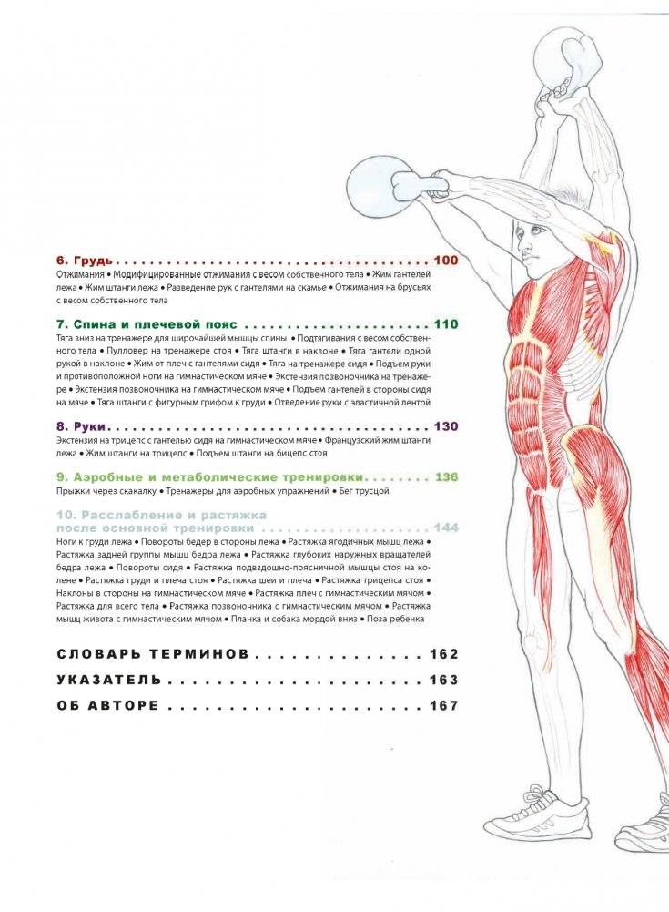 Анатомия фитнеса и силовых упражнений: иллюстрированный справочник по мышцам в действии фото книги 3