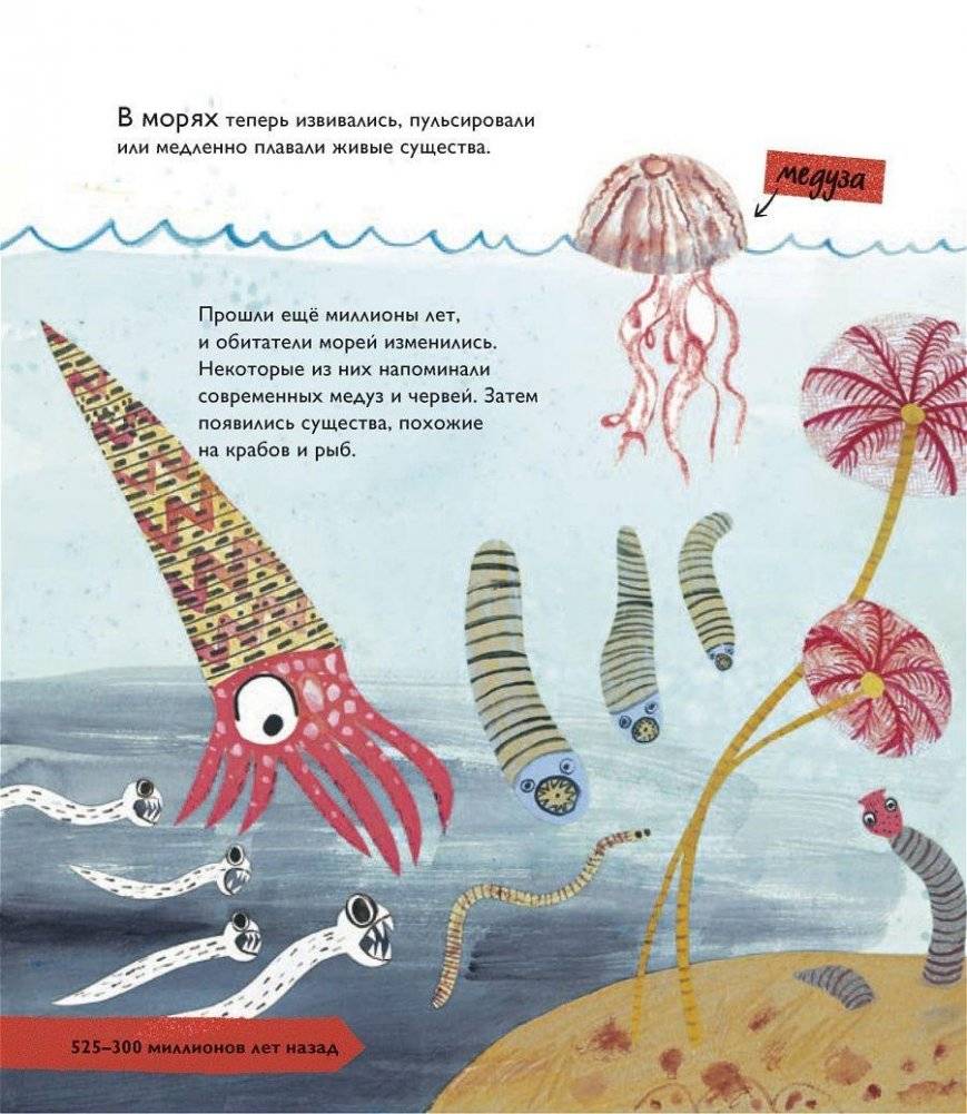 История жизни. Моя первая книга об эволюции фото книги 9