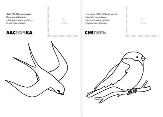 Раскраска с наклейками. Птицы фото книги 2