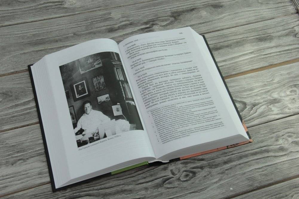 "Свидетель терпеливый..." Дневники, мемуары фото книги 3