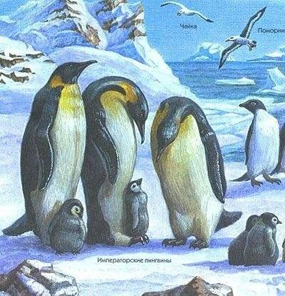 Земля: полная энциклопедия фото книги 3