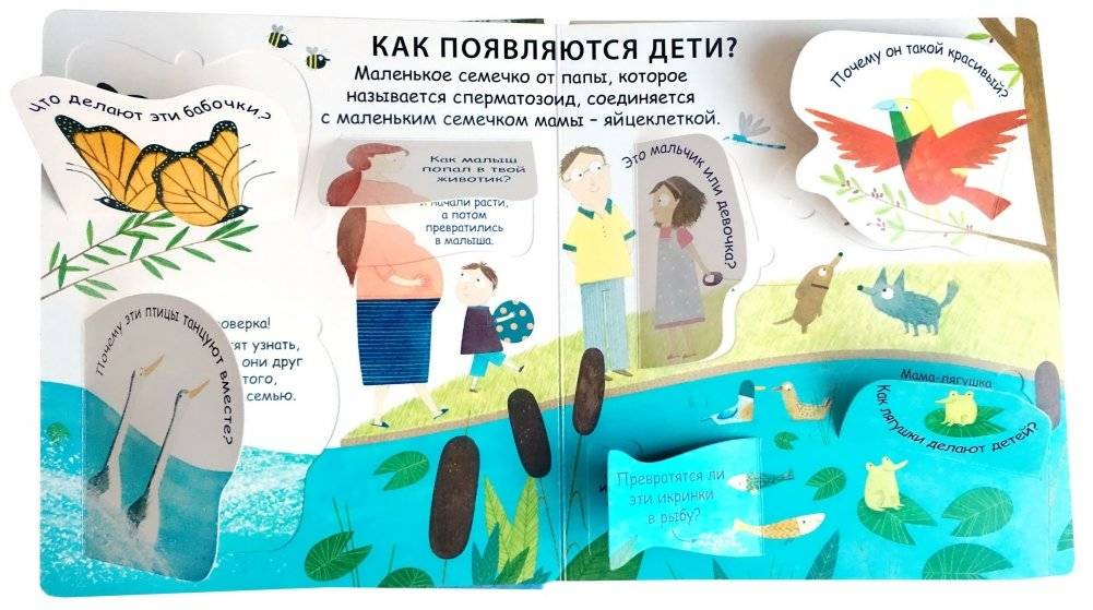 40 окошек. Откуда берутся дети фото книги 5