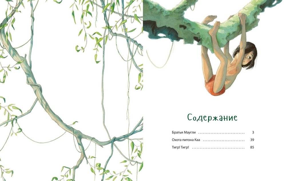Книга джунглей фото книги 7
