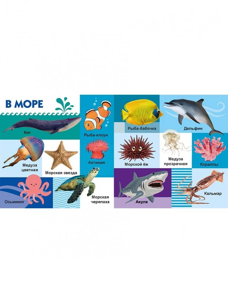 Твои любимые книжки. Животные фото книги 6