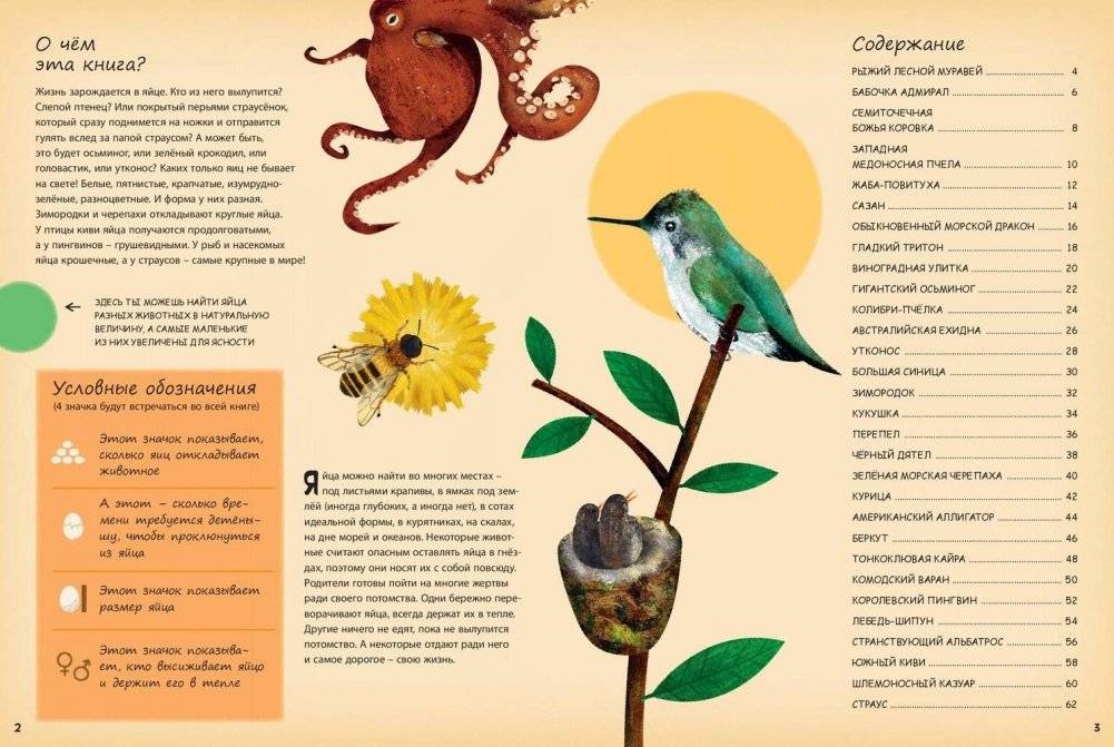 Кто появляется на свет из яйца? фото книги 2