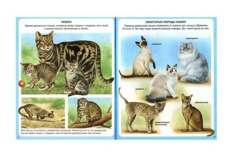 Животные фото книги 2